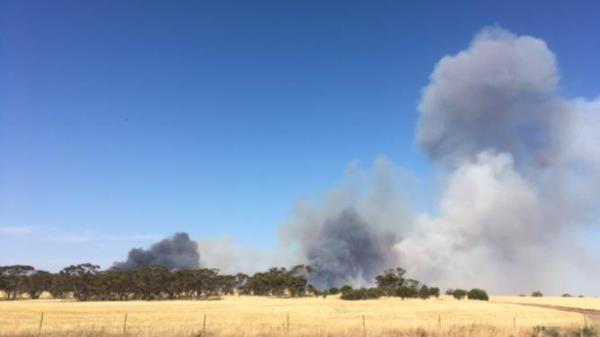 The fire started on Tuesday morning and had burnt more than 700ha by evening.